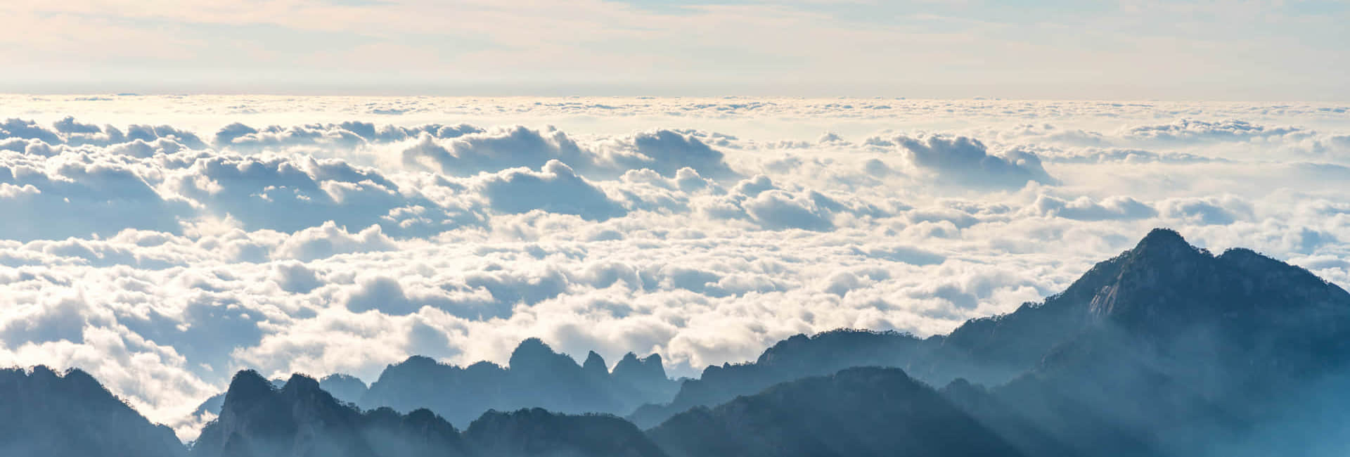 开云「中国」Kaiyun·官方网站简介